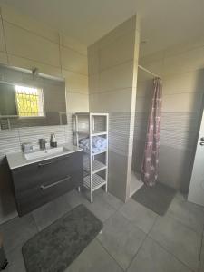 a small bathroom with a sink and a shower at Maisonnette 2 à 4 personnes 