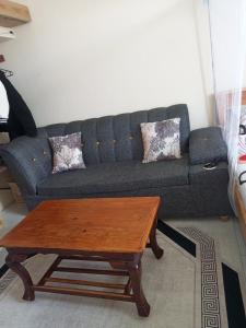 Χώρος καθιστικού στο Alicia