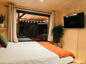 TV a/nebo společenská místnost v ubytování Kalyva - Spa privé & nature à Nyons