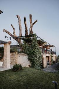 Imagen de la galería de Morgan, en Buje