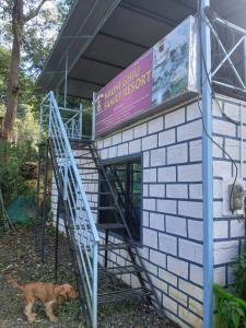 Domácí mazlíčci ubytovaní s hosty v ubytování Nauni resort