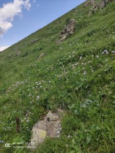 Gallery image of Hankavan HANKA HOME in Hankʼavan