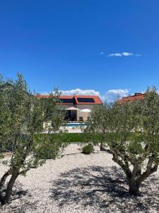 two trees in a yard with a building in the background at Luxury Villa Mala in Privlaka