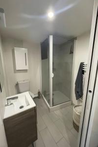 a bathroom with a shower and a sink and a toilet at Charmant studio avec mezzanine - proche de Angoulême in Saint-Saturnin