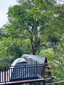 Κήπος έξω από το WayfinderWoods