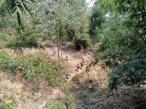 Ảnh trong thư viện ảnh của Luang Prabang to Nong Khiaw Over Night Camping Sunset Phadeng Peak Viewpoint ở Luang Prabang