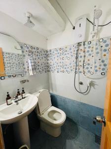 Un baño con inodoro, lavabo y ducha. en Ritz inn Ella, en Ella 61 fotos más