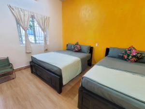 Postel nebo postele na pokoji v ubytování Tiny Garden House Cat Ba + 44 fotografií