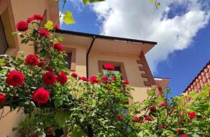 a building with red roses in front of it at Дарина in Chornomorsk