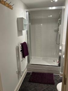ein Badezimmer mit Dusche mit Glastür in der Unterkunft Newly Decorated Studio Apartment -City Centre- Sleeps 2 in Exeter