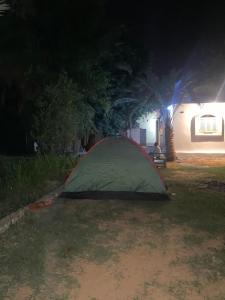 Φωτογραφία από το άλμπουμ του Bafana Bafana Nile View Guest House στο Ασουάν +4 φωτογραφίες