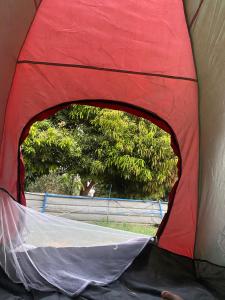 Φωτογραφία από το άλμπουμ του Bafana Bafana Nile View Guest House στο Ασουάν