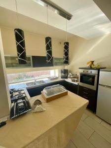 una cucina con piano di lavoro, lavandino e piano cottura di Apparthotel Angela ad Alezio Altre 4 foto