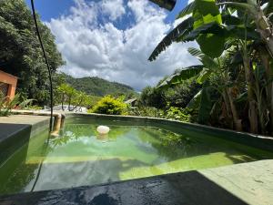 Příroda nedaleko hostelu + 24 fotografií