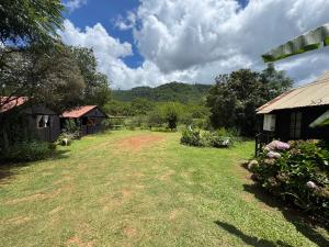 Příroda nedaleko hostelu