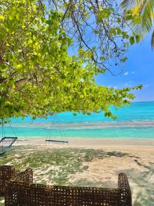 Fotografie z fotogalerie ubytování Jazeeraa beach stay v destinaci Fulhadhoo