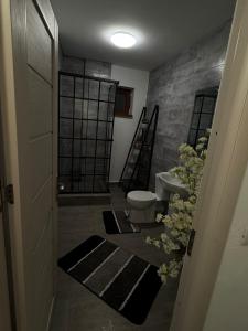 克拉约瓦Petra's的浴室设有2个卫生间和2个水槽