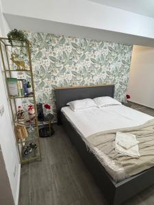 克拉约瓦Petra's的带床和书架的卧室