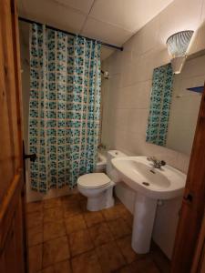 a bathroom with a white toilet and a sink at Calideza inigualable- Rústico, eficiente y con jardín - Isard 1 in Pla de l'Ermita +20 photos