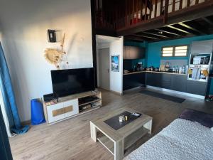 Μια τηλεόραση ή/και κέντρο ψυχαγωγίας στο L'écrin de l'océan - Magnifique vue mer