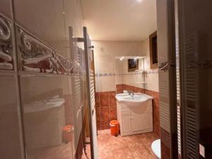 a bathroom with a sink and a shower and a toilet at La Maison des Coeurs in Lugrin +27 photos