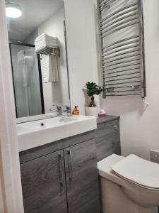 Koupelna v ubytování Posyrooms Apartment