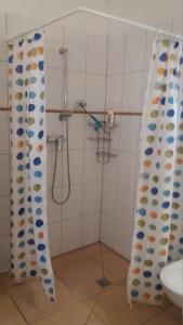 Un baño con ducha, inodoro y lavabo. en Bülitz33, en Niederdorla