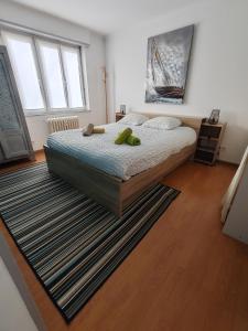 a bedroom with a bed and a rug at Les Jacynthes in Colmar