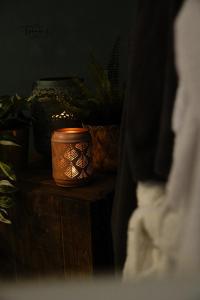 ein Zimmer mit Pflanzen und einer Kerze auf einem Tisch in der Unterkunft La Réserve, Suite et SPA in Noyelles-sous-Bellonne