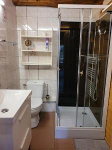 une salle de bain avec une douche avec des toilettes et un lavabo dans l'établissement Le Saptésien, à Ban-de-Sapt 17 autres photos