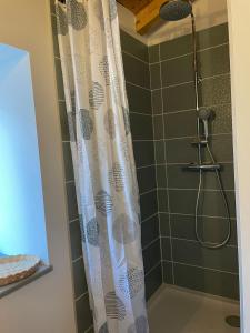 une douche avec un rideau de douche dans une salle de bain dans l'établissement Petite maison au centre de Mirepoix, à Mirepoix
