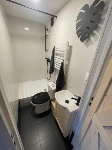 a small bathroom with a toilet and a sink at Lake House by Fregata Restaurant in Zagórze Śląskie