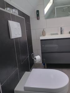 a bathroom with a white toilet and a sink at Gelders genieten in Overasselt +3 photos