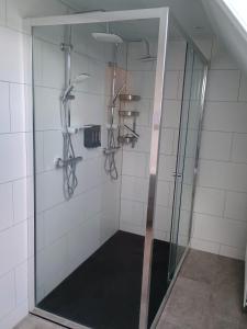 a shower with a glass door in a bathroom at Gelders genieten in Overasselt