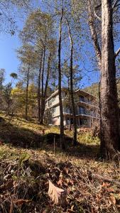 een huis midden in een veld met bomen bij Himaja Retreat in Manāli
