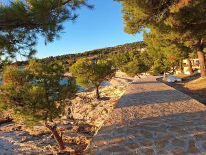 a path with trees on the side of a beach at Little Seafront House Dolac Primošten in Dolac