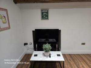 a living room with a table with a plant on it at Penthouse Duplex Period Conversion in Burnley