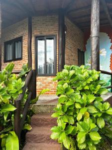 Zahrada ubytování Encanto do Mar Praia do Rosa + 50 fotografií