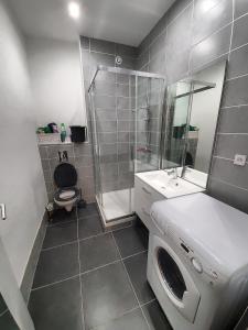 a bathroom with a washing machine and a shower at Le nid de la ferme du plan in Froges