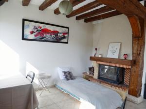 ein Schlafzimmer mit einem Bett und einem Kamin in der Unterkunft Vue imprenable sur la forêt avec jardin et parking in Blois