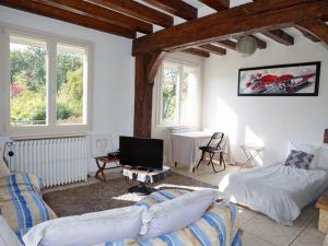 ein Wohnzimmer mit Sofa und Fernseher in der Unterkunft Vue imprenable sur la forêt avec jardin et parking in Blois