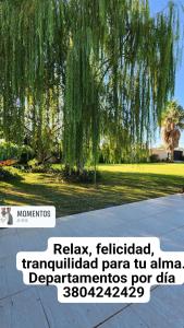 Φωτογραφία από το άλμπουμ του Amanecer Soñado σε Λα Ριόχα