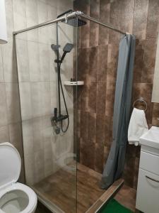 a bathroom with a shower and a toilet at Tsaghkadzor Kechi Apartment 136 in Tsaghkadzor +45 photos