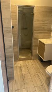 Un baño con ducha, lavabo e inodoro. en Apartment - Garden Studio - en extérieur de Bordeaux, en Tresses