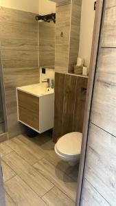 un baño con inodoro y lavabo en Apartment - Garden Studio - en extérieur de Bordeaux, en Tresses