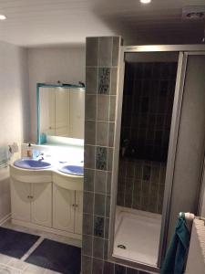 ein Badezimmer mit Waschbecken und Dusche in der Unterkunft La Roseliére in Bazenville