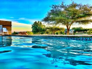 a pool of water with a tree in the background at Rondeberg Holiday Resort in Clanwilliam
