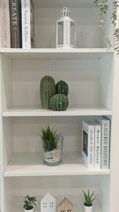 Knihovna v apartmánu + 25 fotografií