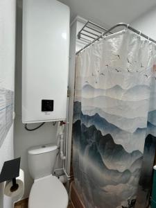 a bathroom with a toilet and a shower curtain at Ski Piau-Engaly balcon vue sur montagne pied pistes proche commerces in Aragnouet +29 photos
