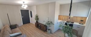 a living room with a couch and a kitchen at Studio Magnolia Suite in Poznań